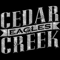 GLT57 SILVER GLITTER Thumbnail