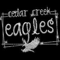 GLT90 SILVER GLITTER Thumbnail